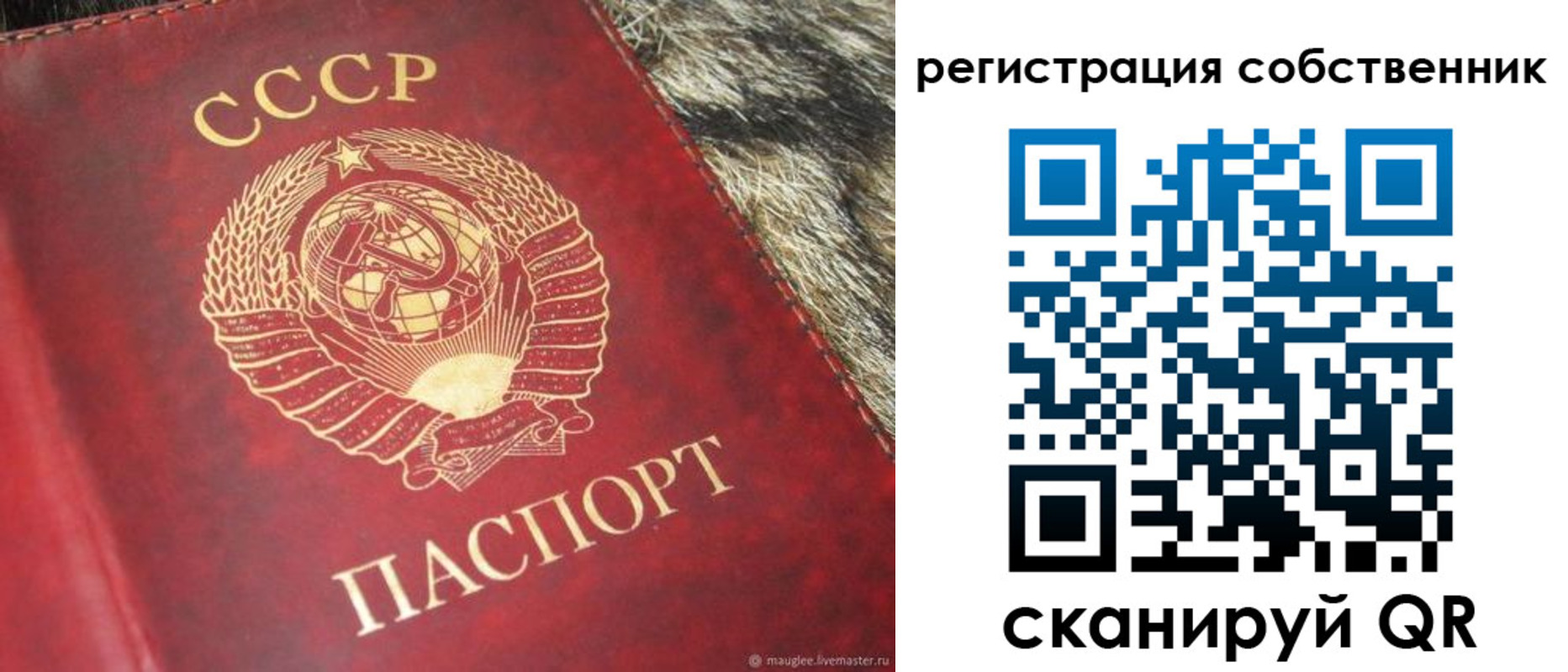 временная регистрация надежно в Зиме